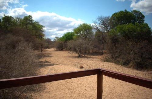 Maruleng Other | Bush Babies Camp
