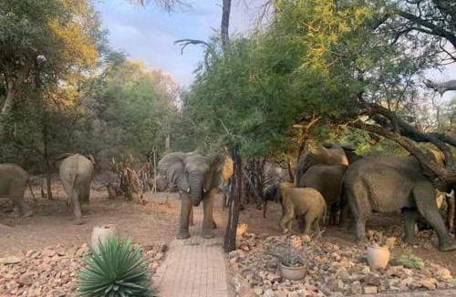 Bela-Bela Ski Chalet | Bush Dream, Mabalingwe