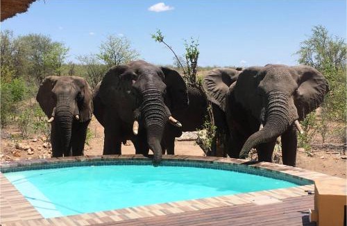 Phalaborwa House | Bushvilla Umoja Kruger