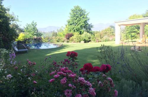 Cape Winelands Apartment | Camberley Wines - Luxury Accommodation