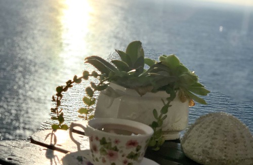 Fish Hoek Villa | Cape-x-ta-sea a home with picture perfect panoramic views of False Bay.