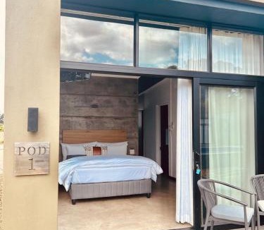 Robertson Apartment | Cellar Pods Blue