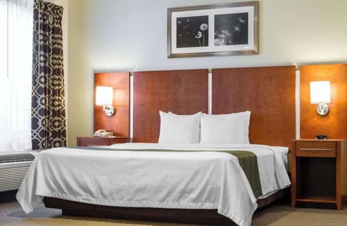 Berryessa Hotel | Championship stay at Quality Inn in San Jose A 6.7 mile drive to Levi's Stadium