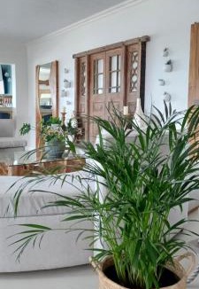 Struisbaai Hotel | Chateau de Marine Boutique Hotel