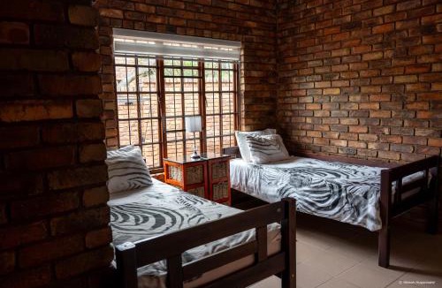 Bela-Bela Resort | Cheetah Experience