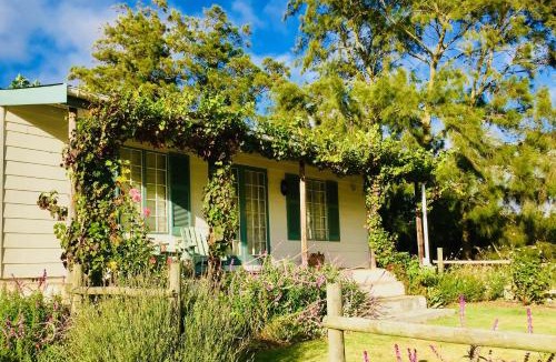 Grabouw House | Cheverells Farm, Kiku & Braeburn Cottage
