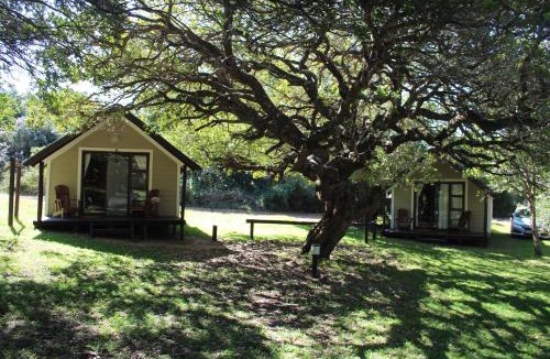 Sodwana Bay National Park Hotel | Coral Divers