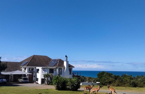 East London Bed & Breakfast | Cove View B&B