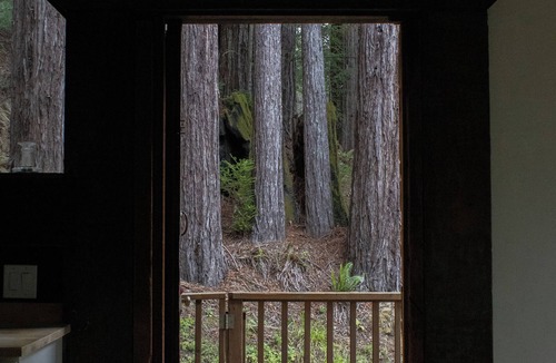 Little River Cabin | Cozy 1-bedroom cabin nestled in the Redwoods by the coast in Little River, CA