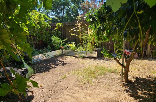 Southeastern Sacramento House | Cozy 2-bedroom house in historic Sacramento near UC Davis Med Center