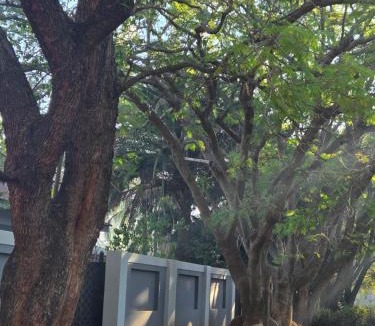 Mookgopong House | Cozy Lifestyle Guesthouse