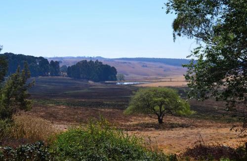 Dullstroom House | Crane Cottage