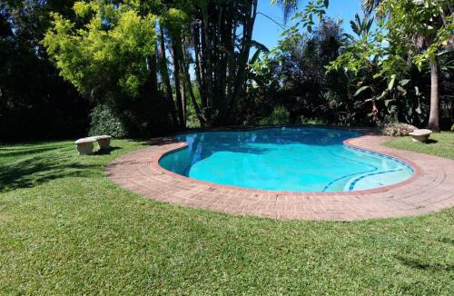 Alkmaar Bed & Breakfast | Crocodile Nest B&B