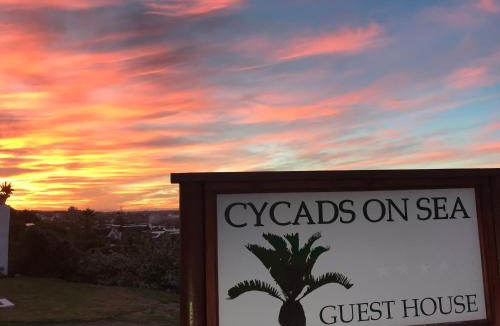 Saint Francis Bay Bed & Breakfast | Cycads on Sea Guest House