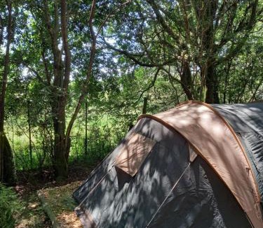 Dargle Other | Dargle campsite