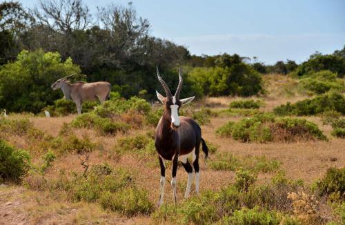 Overberg Ski Chalet | De Hoop Collection Suites