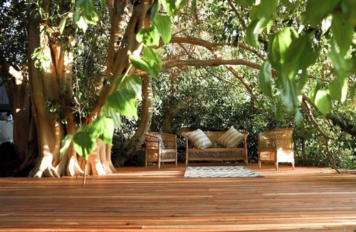 Montagu Apartment | De Nest - Clear glass Tree cabin in Montagu