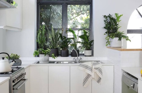 Sea Point House | Deane House - Number 17
