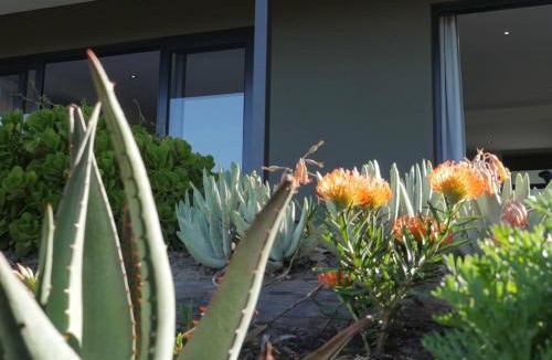 Knysna Apartment | denBosch Cottages