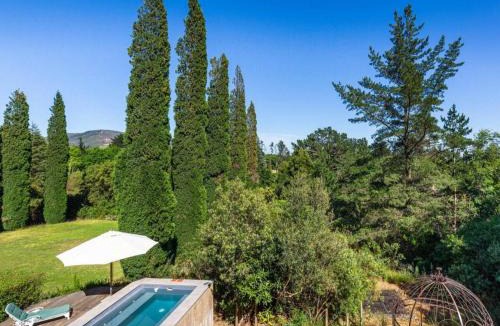 Koelenhof Apartment | Devon Castle Forest Lodge