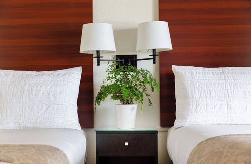 Walnut Creek Hotel | Diablo Mountain Inn - Walnut Creek