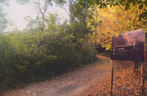 Hogsback Other | Diamond Vault Rustic Mountain Cabins
