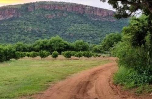 Lydenburg House | Die Boom Guest Farm