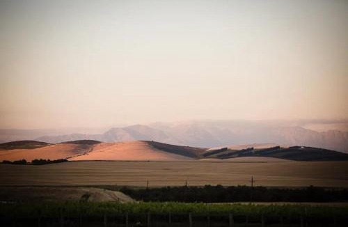 Wellington House | Doran Vineyards