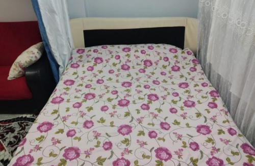 Kepez House | Dormitory Pension Sofas Bunk Bed Rooms in Homestay Apartment