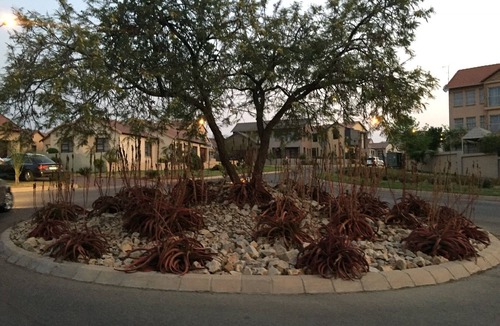 Centurion House | Double Room @ mullein