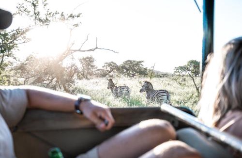 Hluhluwe Cabin | Duiker Game Lodge