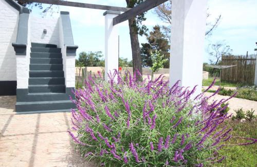 Glentana Apartment | Dunkes Organic Equestrian Estate
