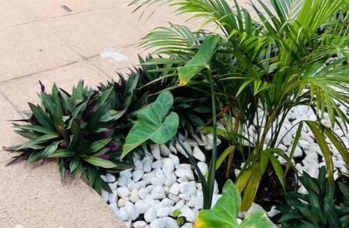Berea Apartment | Durban 2 Bedroom Apartment
