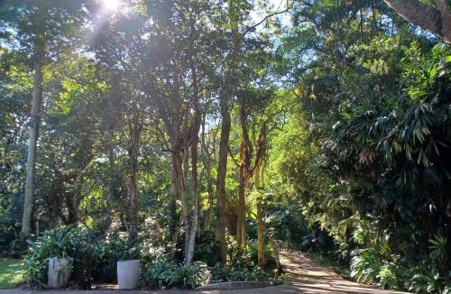 Pinetown Apartment | Eggersheim