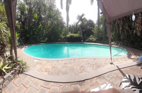 Phalaborwa House | Elephant Walk Guesthouse and Back Packers