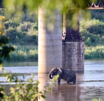 Nkomazi Hotel | Elephant Walk Tented Camp
