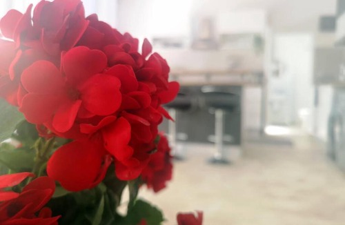George Apartment | Elisha Studio