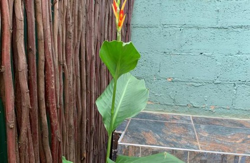 Evaton House | eWakanda African Guesthouse