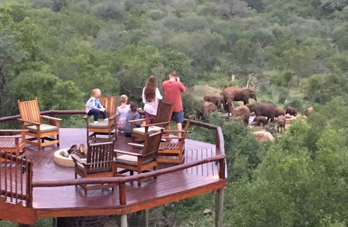 Hoedspruit Villa | Exclusive Bush Villa Inside the Greater Kruger National Park, home of the Big 5