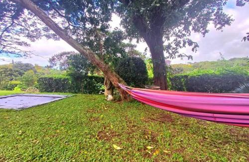 Westville House | Family house Westville