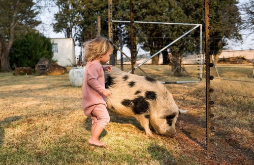 Curry's Post Cottage | Farm fun for the family