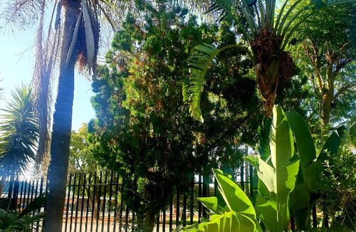 Porterville Bed & Breakfast | Feather Feet