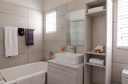 Brooklyn Apartment | Fig Tree