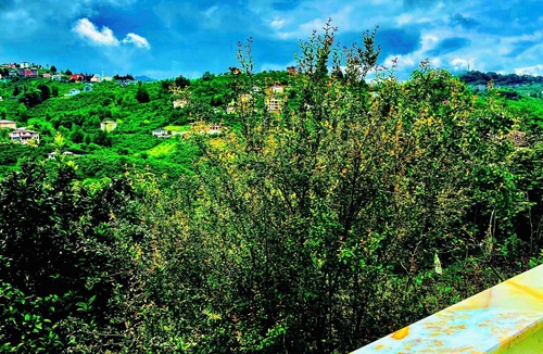 Arsin Apartment | Five Stars Apart Bungalov