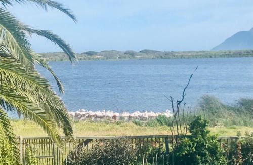 Kommetjie Apartment | Flamingo View