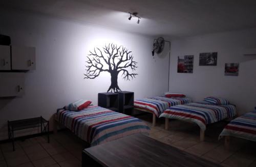 Jeffreys Bay House | FlipFlops and TreeTops