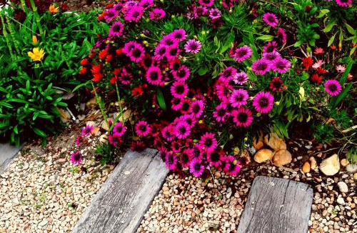 Sedgefield Bed & Breakfast | Forestview guesthouse and B&B