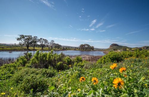 Elands Bay Apartment | Fork West Holiday Apartments