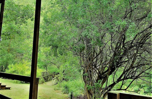 Umjindi House | Fountain Baths Guest Cottages (unit 7)
