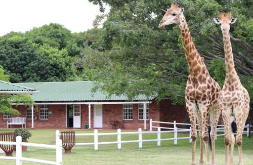 Wartburg Apartment | Fountainhill Estate Accommodation